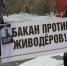 Нажмите для предварительного просмотра изображения - ИА Хакасия