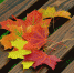 fall- - Абакан сегодня