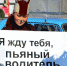 На улицах Абакана водителям являлась «белочка» - Абакан сегодня