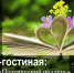 Абаканским поэтам подарят вдохновение - Хакасия-Информ