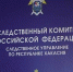 Житель Абазы предстанет перед судом за убийство малолетнего - Газета Хакасия