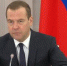 За отставку правительства Медведева выступили 53% россиян - ИА Агентство Деловой Информации