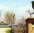 Лунный посевной календарь огородника на апрель 2019 года - ИА Агентство Деловой Информации