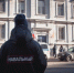 Правила поведения по отношению к врагам - ИА Агентство Деловой Информации