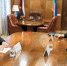 Фото: embassybel.ru - ИА Хакасия