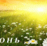 Июнь– медовый месяц природы, сын весны, млечень, румянец года, светлояр... - ИА Агентство Деловой Информации