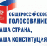 Россияне дали положительную оценку голосованию по поправкам в Конституцию - Газета Хакасия