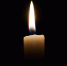 Фото: pixabay.com - Пульс Хакасии