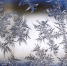 Холодно. Фото: pixabay.com - Пульс Хакасии