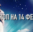 Индивидуальный гороскоп на 14 февраля для всех знаков Зодиака - ИА Агентство Деловой Информации