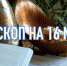 Индивидуальный гороскоп на 16 марта для всех знаков Зодиака - ИА Агентство Деловой Информации