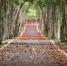 Фото pixabay.com - Пульс Хакасии