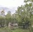 Фото предоставлено Администрацией Абакана - Пульс Хакасии