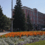 Фото Администрации Абакана - Пульс Хакасии
