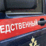 Подозреваемый в педофилии россиянин мог сам наткнуться на нож во время ссоры с отцом девочки - ИА Агентство Деловой Информации