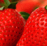 Фото: pixabay.com - Пульс Хакасии