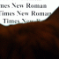 Times New Roman: популярные шрифты заблокировали для россиян - Медиагруппа Юг Сибири