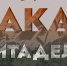 Жителей Хакасии приглашают на онлайн-программу к 80-летию начала Курской битвы - Республиканская телевизионная сеть