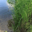 Отдыхающих на резиновой лодке унесло в Красноярское водохранилище - Газета Шанс online