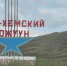 Подростки на лошади наткнулись на свисавший провод ЛЭП - Газета Шанс online