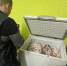 По факту поставки в детсад мяса с зеленью и запахом возбудили уголовное дело в Минусинске - Газета Шанс online