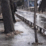 В Абакане жители домов улицы Вяткина жалуются на огромную лужу у площадки ТБО - Абакан сегодня