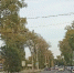В Хакасии число автомобилей за год увеличилось на несколько тысяч - Газета Шанс online