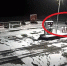 В Каратузском большой медведь прогулялся по нескольким улицам. Видео - Газета Шанс online