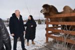 Под Абаканом открылась агротуристическая ферма