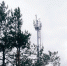 МТС первой из операторов запустила 4G на курорте «Сюгеш» в Хакасии - Газета Хакасия