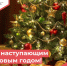 С наступающим Новым годом! - Центр спортивной подготовки сборных команд