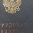 Как работодателям из Хакасии получить компенсации за трудоустройство по программе субсидирования найма? - Газета Шанс online