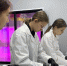 Школьница из Черногорска разрабатывает полезный лимонад - Газета Хакасия