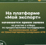 Источник изображения: пресс-служба Минэкономразвития РХ - НИА Хакасия