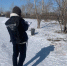 Стая собак напала на восьмилетнюю девочку в парке Хакасии. Возбуждено уголовное дело - Газета Шанс online
