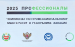 Будущее за профессионалами