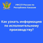 Как узнать всю необходимую информацию по исполнительным производствам?