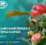 Помогите учёным сделать новые открытия! - Институт развития образования и повышения квалификации