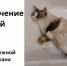 Абаканцы готовятся к недельному отключению горячей воды - ИА Хакасия