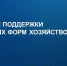 Минсельхоз Хакасии – о господдержке, которую получают аграрии республики - Правительство Республики Хакасия