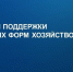 Источник изображения: Пресс-служба Минсельхоза РХ - НИА Хакасия