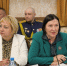 Министр культуры Хакасии Светлана Окольникова выступила с докладом на заседании регионального оргкомитета - Минкультуры