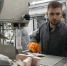 Глава Хакасии побывал на предприятии по производству замороженной рыбной продукции - Газета Хакасия