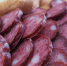 Как и сколько нужно хранить продукты в жаркую погоду - ИА Хакасия