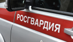 Подозреваемый в попытке кражи сливочного масла задержан росгвардейцами в Абакане