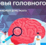 Врачи Хакасии дали советы по сохранению здоровья головного мозга - ИА Хакасия