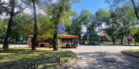 В Абакане пассажирка троллейбуса получила перелом ребер - ИА Хакасия