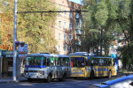 В День города общественный транспорт будет ходить допоздна