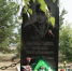 В Хакасии сегодня вспоминают моряка-подводника Вячеслава Майнагашева - ИА Хакасия