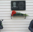 В Хакасии увековечили память ветерана ФССП Евгения Матвеева - ИА Хакасия